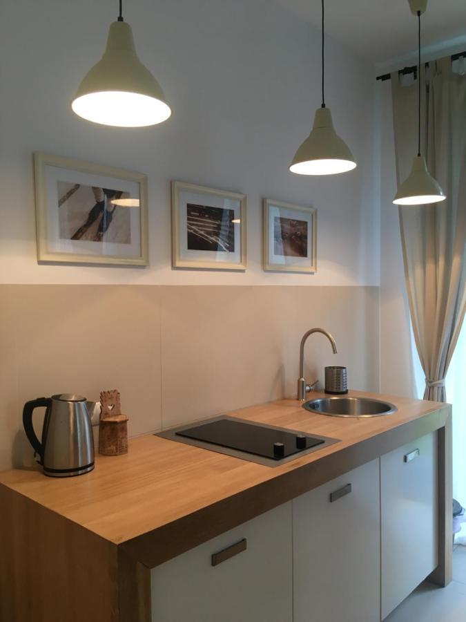 Studio 4U Zakopane Apartzakop エクステリア 写真